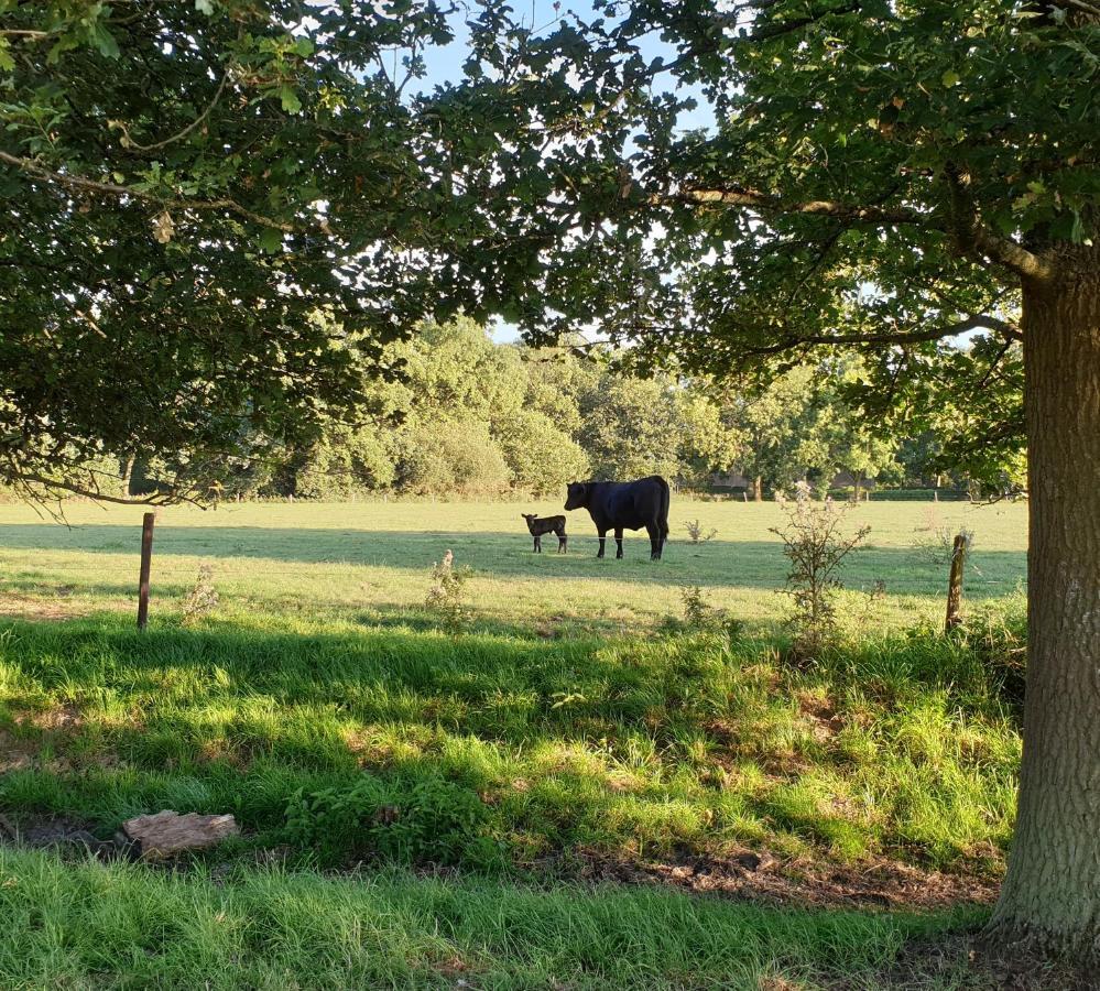 B&B De Scherpenhof Leur Extérieur photo
